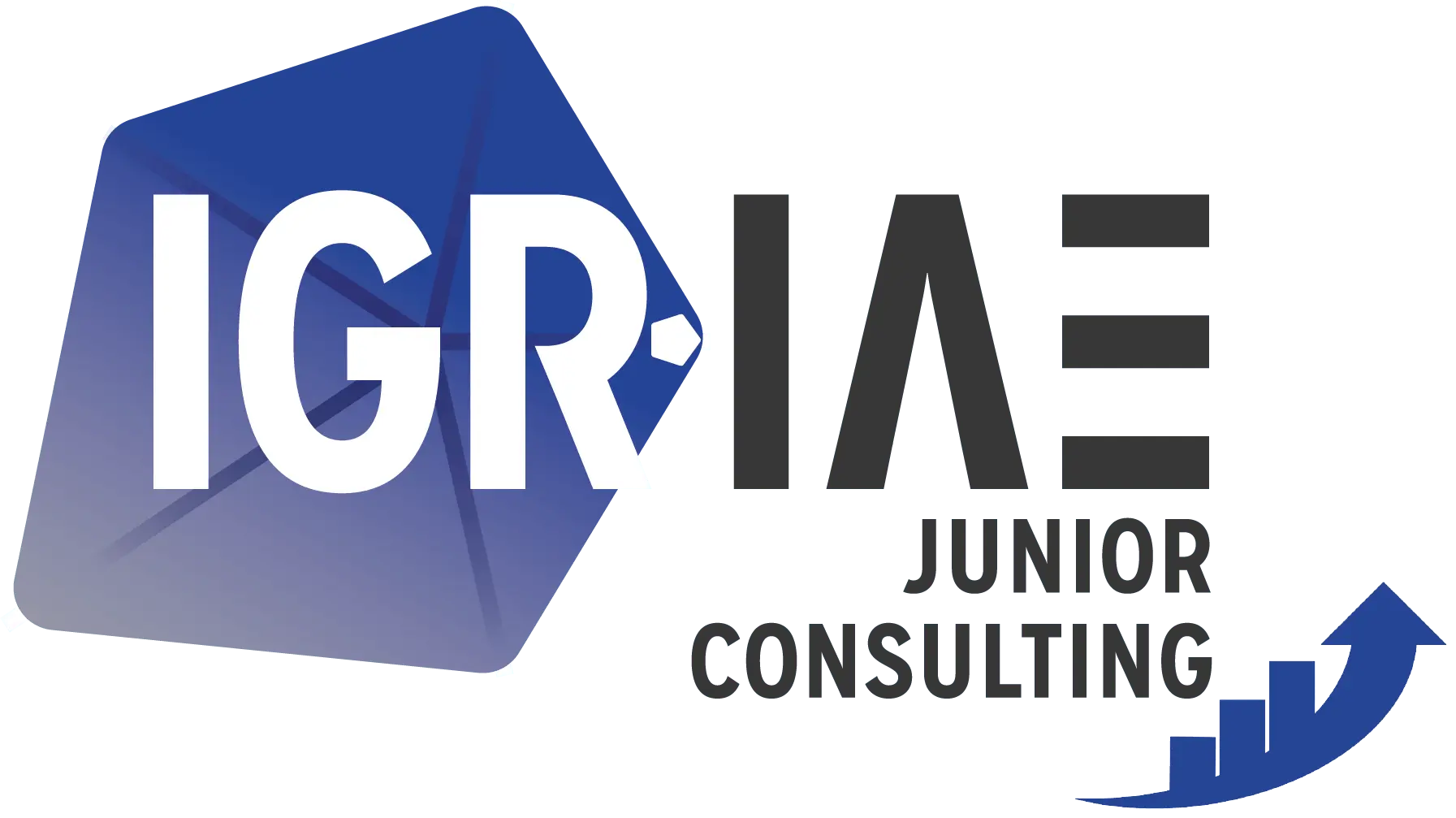 IGR-JUNIOR-CONSULTING-1