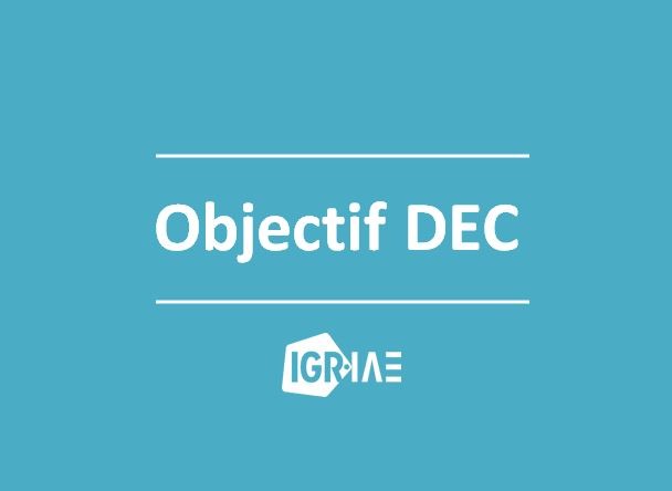 Objectif : Préparation au DEC