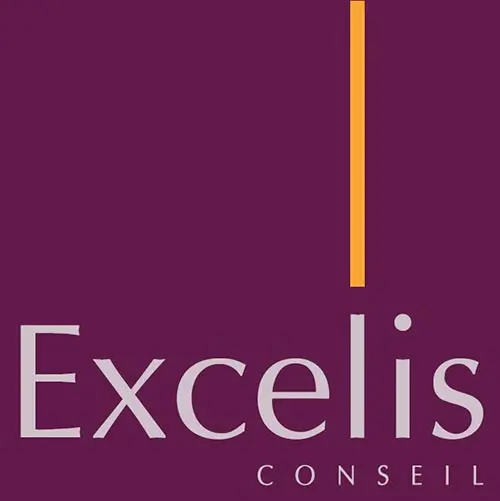 Excelis-conseil-500