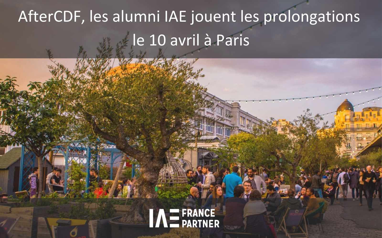Prolongations de la Coupe de France des IAE pour les Alumni