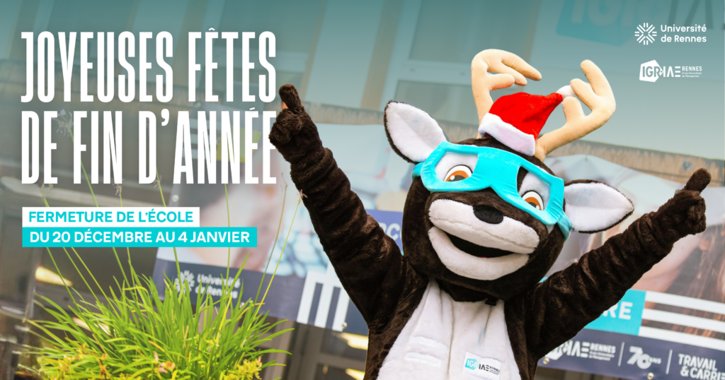L’IGR-IAE Rennes vous souhaite de belles fêtes de fin d’année