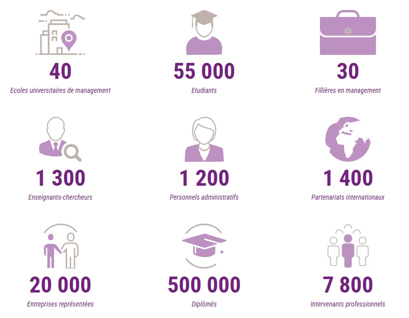 Infographie IAE France 2026